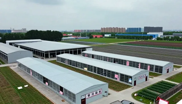 教育改革背景下师资培训平台的高效应用策略